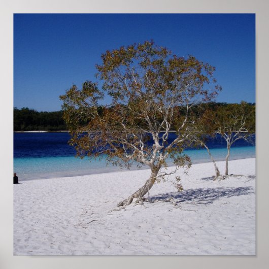 のリラックス時刻 ポスター (正面)