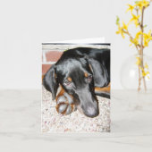 のリラックス（犬）ドーベルマン・ピンシェルパピー – ノートカ空白のード カード (黄色い花)