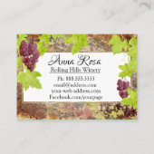 *~*のワイナリーのワイン貯蔵室のブドウ酒用ブドウの集りのブドウ園 名刺 (裏面)