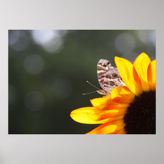 ～の上を覗く ポスター (正面)