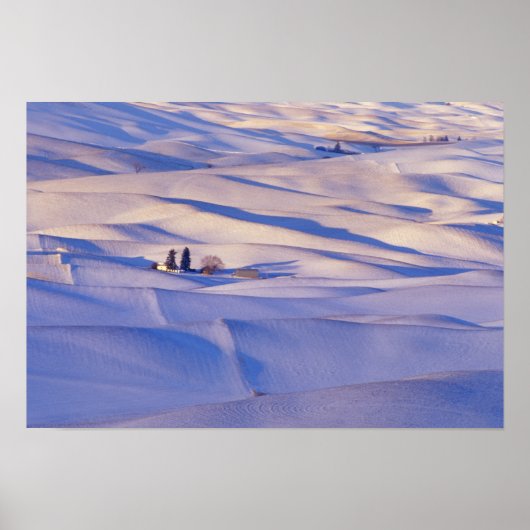 の丘のステップア転がートから見る ポスター (正面)