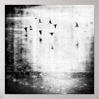 ～の中に入る信じ神話 ポスター