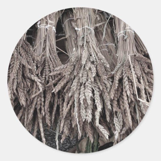 の乾燥植飾物 ラウンドシール (正面)