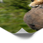 の保時計 ポスター (角)