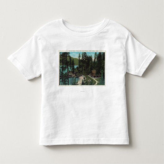 の典型的な避暑用の家の空中写真 トドラーTシャツ (正面)