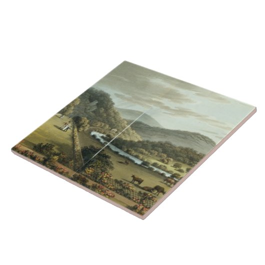 の南および東の前部からの一般的な見解 タイル (側面)