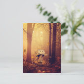 の国は ポストカード (スタンド正面)