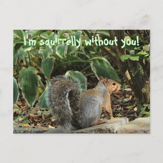 の場合の恋しく思はがき ポストカード (正面)