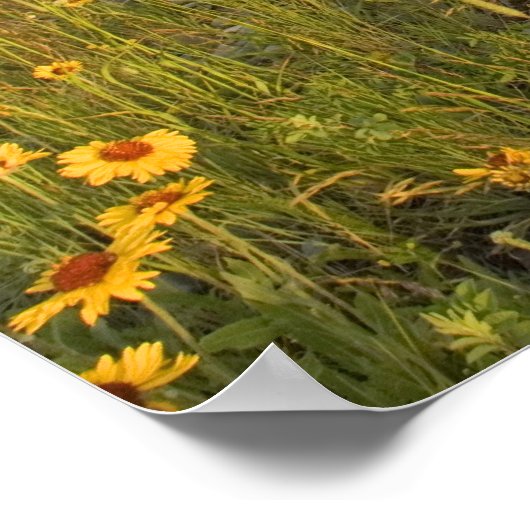 の多くの氷河の谷のプレーリーワイルドフラワー ポスター (角)