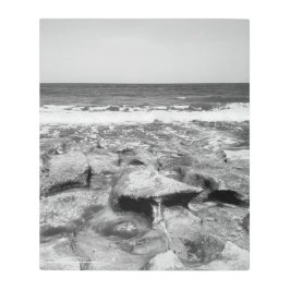 の岩吹はジュピター・フロリダのウォールアートを守る メタルプリント