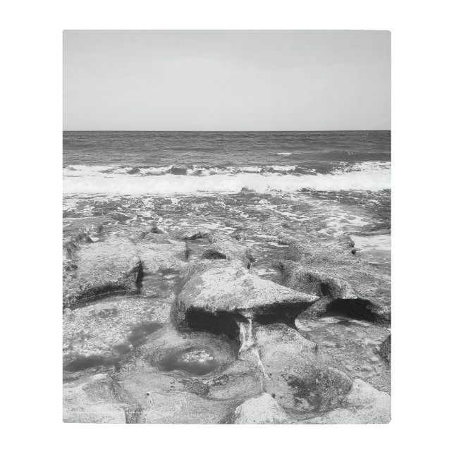 の岩吹はジュピター・フロリダのウォールアートを守る メタルプリント (正面)