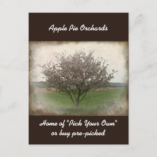 の広告Apple Treeの開花はがき ポストカード (正面)