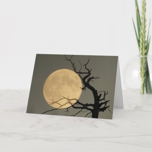 の後ろ カード (正面)