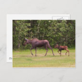 の後を追Moms Footmentsに ポストカード (正面/裏面)