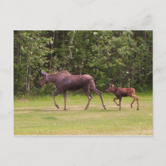 の後を追Moms Footmentsに ポストカード