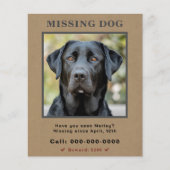 の恋しく思ペットカスタムフォトフライヤー チラシ (正面)