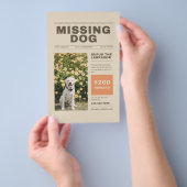 の恋しく思犬のチラシ チラシ (ハンドル)