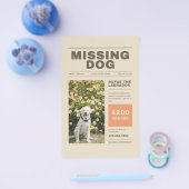 の恋しく思犬のチラシ チラシ (シングル)