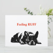 の感じラフ (スタンド正面)