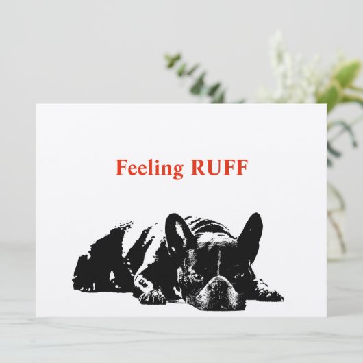 の感じラフ (スタンド正面)