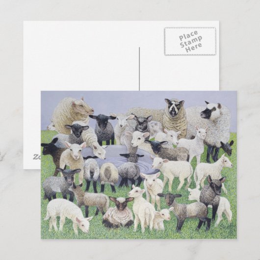 の感じ恥 ポストカード (正面/裏面)