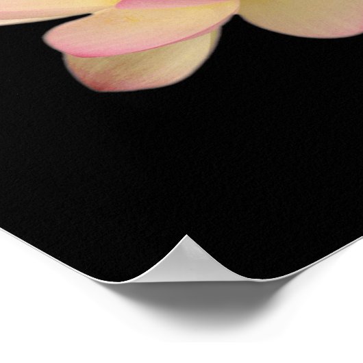 の感じ禅 – ポスター (角)