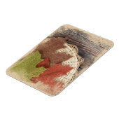 の感じ秋磁石 マグネット (左側)