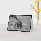 の救済幹 カード (黄色い花)