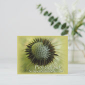 の救済dandelion CC0489ポストカード ポストカード (スタンド正面)