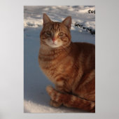 の暖保かい ポスター (正面)