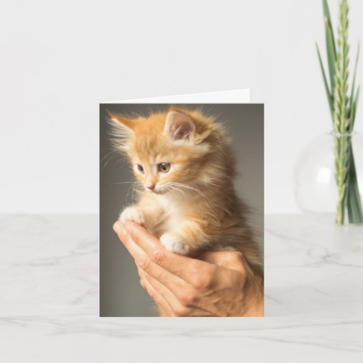 の暖考えかいファジーな子猫猫好き カード (正面)