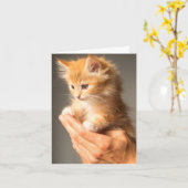 の暖考えかいファジーな子猫猫好き カード (黄色い花)