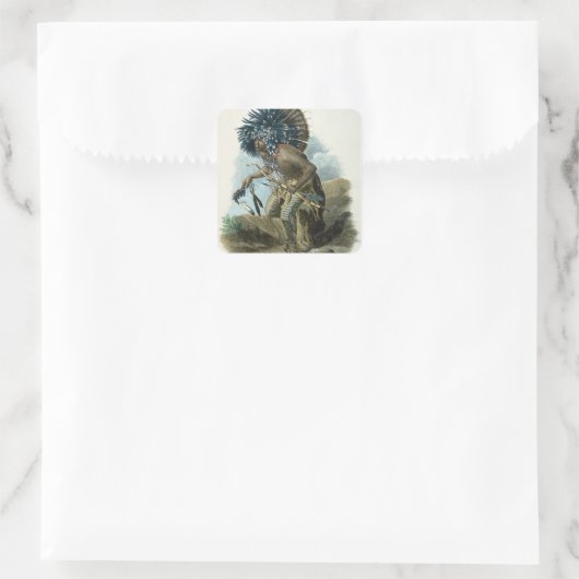 の服装でマンダン族の医学の人 スクエアシール (バッグ)