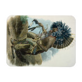 の服装でマンダン族の医学の人 マグネット (横)