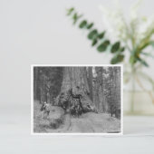 の木来を通ってウォワ素晴らしーナ ポストカード (スタンド正面)