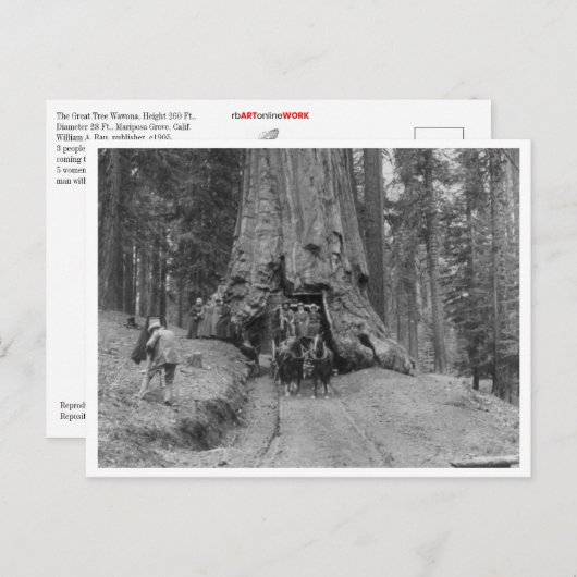 の木来を通ってウォワ素晴らしーナ ポストカード (正面/裏面)