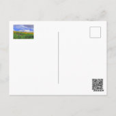 の来間：ミシガンの秋 ポストカード (裏面)