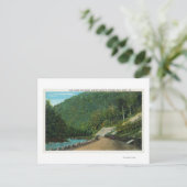 ~の東斜面の冷たい川に沿って見る ポストカード (スタンド正面)