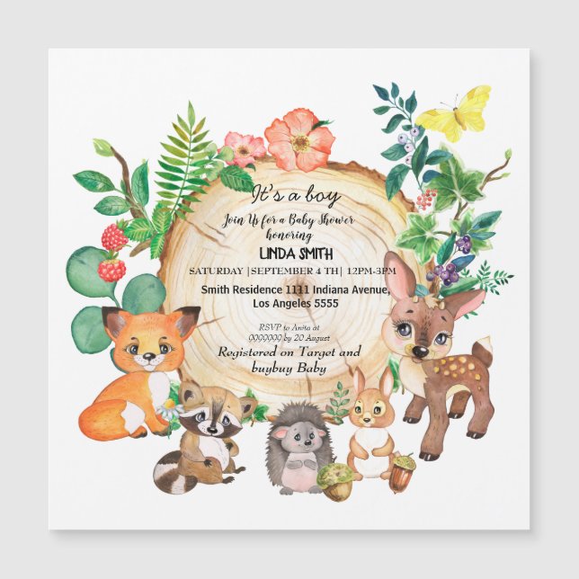 ～の森や森の植物に関する児童書 (正面)