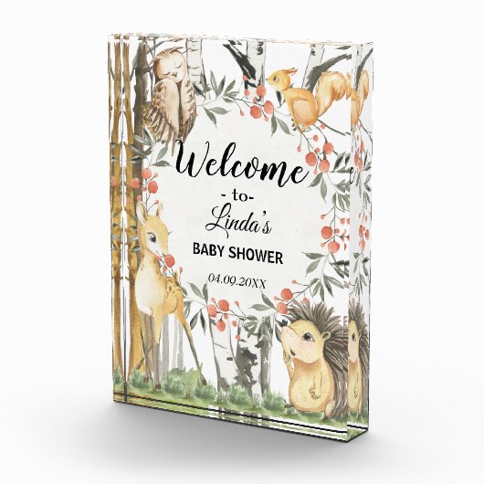 ~の森や森の植物に関する児童書 フォトブロック (右)