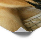 の椅子に座ってネクタイとメガネを着た犬 ポスター (角)