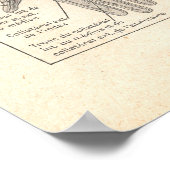 ～の武器解剖学ポスターの神経フランスの ポスター (角)