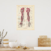 ～の武器解剖学ポスターの神経フランスの ポスター (キッチン)