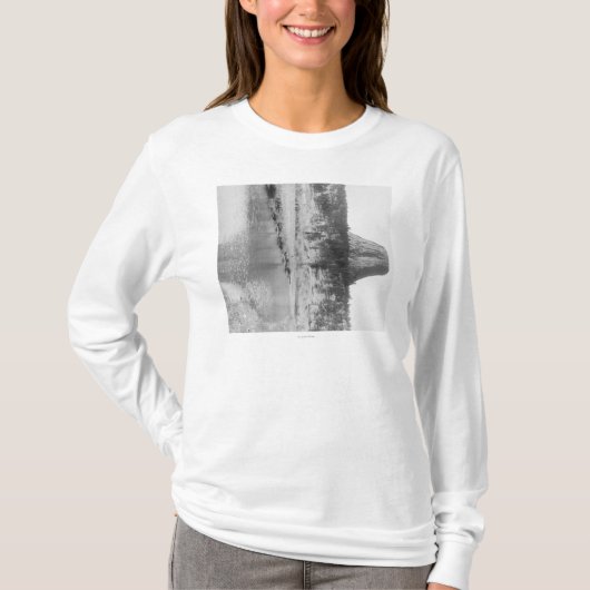 の水が付いている悪魔のタワーの遠い眺め Tシャツ (正面)