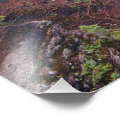 の氷河の国立公園の聖マリア秋 フォトプリント            (角)