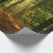 ~の澄ん森輝くを通る光の光線 ラッピングペーパー (角)