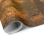 ~の澄ん森輝くを通る光の光線 ラッピングペーパー (ロールコーナー)