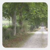 ~の町の近くの田舎の未舗装の田舎道 スクエアシール (正面)
