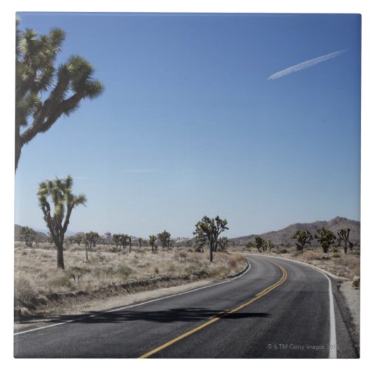 の真中のよい定形通り タイル (正面)