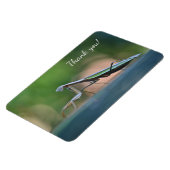 の祈マンティスありがとう マグネット (左側)